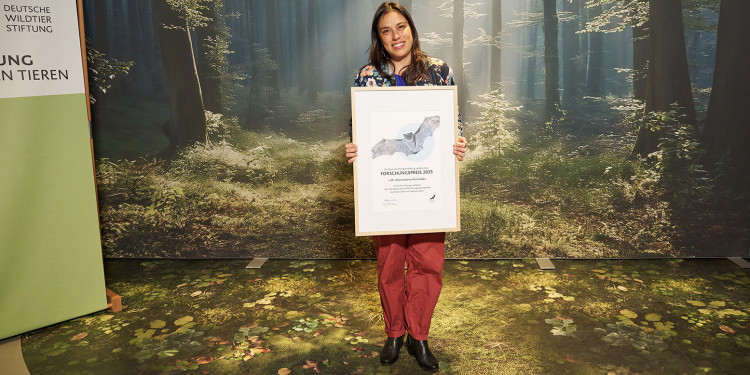 Dr. Ahana Fernandez im Ganzkörperporträt bei der „Deutschen Wildtier Stiftung“ in Berlin. Sie steht vor einer Waldfotowand und hält einen großen Bilderrahmen mit der Urkunde zum Forschungspreis vor den Körper (auf der Urkunde ist eine Fledermaus zu erkennen). Auf einem Banner oben und einem Aufsteller links ist mehrfach das Logo der Stiftung und der „Botschaft der Wildtiere“ zu erkennen (Silhouette eines Greifvogels und bunte, abstrahierte Vögel).<address>&copy; Deutsche Wildtier Stiftung / Brandes</address>