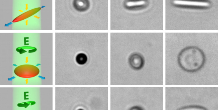 Nanopartikel lassen sich mit polarisiertem Licht präzise verformen.<address>&copy; Nat Commun / CCBY4.0</address>