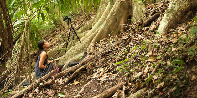 Dr. Ahana Fernandez bei der Arbeit im tropischen Regenwald.<address>&copy; Michael Stifter</address>