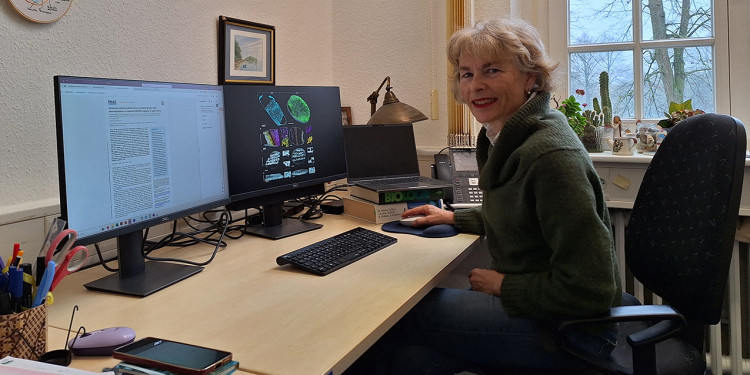 Prof. Dr. Karin Busch am Schreibtisch vor zwei Monitoren. Sie wendet sich dem Fotografen seitlich zu. Auf dem rechten Bildschirm sind Aufnahmen von Mitochondrien zu sehen, auf dem linken eines ihrer aktuellen Paper.<address>&copy; Uni MS - Christina Hoppenbrock</address>