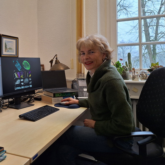 Prof. Dr. Karin Busch at her desk in front of two monitors. She turns sideways to face the photographer. The right-hand screen shows images of mitochondria, while the left-hand screen displays one of her current papers.<address>&copy; Uni MS - Christina Hoppenbrock</address>