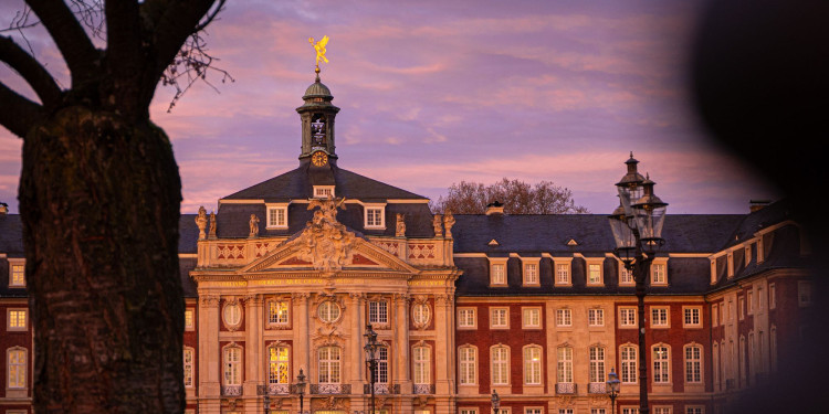 Das Schloss bei Sonnenaufgang.<address>&copy; Uni MS - Linus Peikenkamp</address>