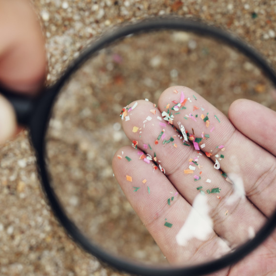 AdobeStock_499057910.jpeg<address>&copy; stock.adobe.com - Sansert</address>