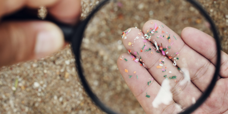 AdobeStock_499057910.jpeg<address>&copy; stock.adobe.com - Sansert</address>