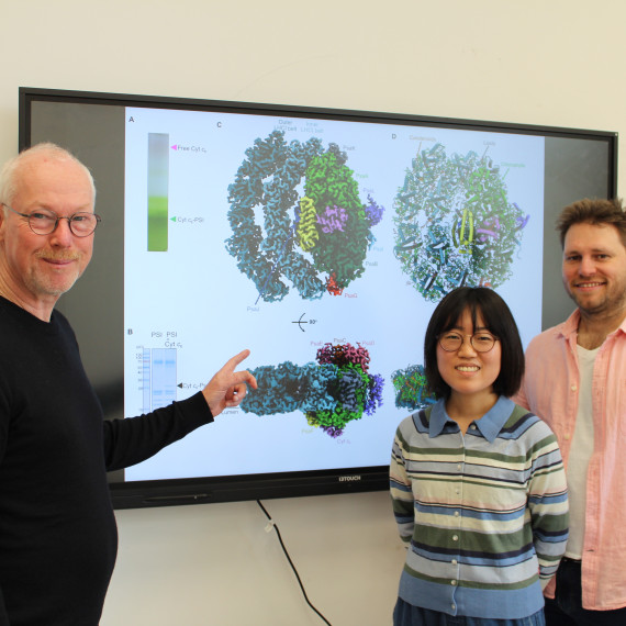 Professor Michael Hippler, Dr Yu Ogawa and Dr Yuval Milrad (from left) from the Institute of Plant Biology and Biotechnology stand in front of a projection of the high-resolution structure of the cytochrome c6:photosystem I complex.<address>&copy; AG Hippler - Dr. Martin Scholz</address>