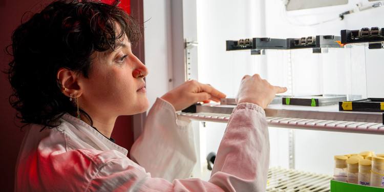 A woman in a white lab coat (left) is standing in front of an open climatic chamber (right). She places her hands on one of the shelves inside the chamber (at about chin height) and looks inside to check something. Numerous glass tubes can be seen inside.<address>&copy; Uni MS - Linus Peikenkamp</address>