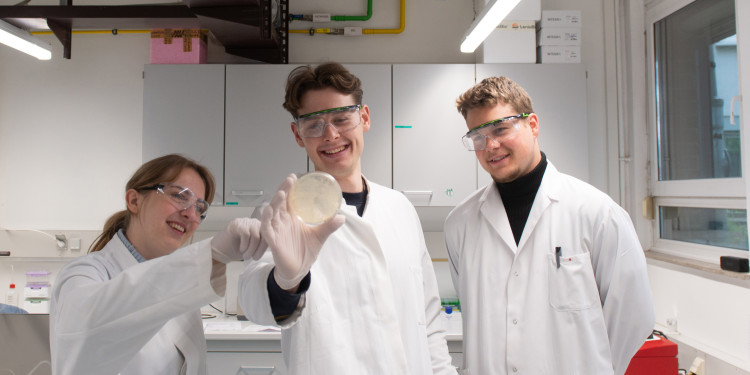 The image shows three students, one woman and two men, in the laboratory. They are wearing white coats, one of whom is presenting a petri dish with a bacterial culture.<address>&copy; Uni MS - Brigitte Heeke</address>