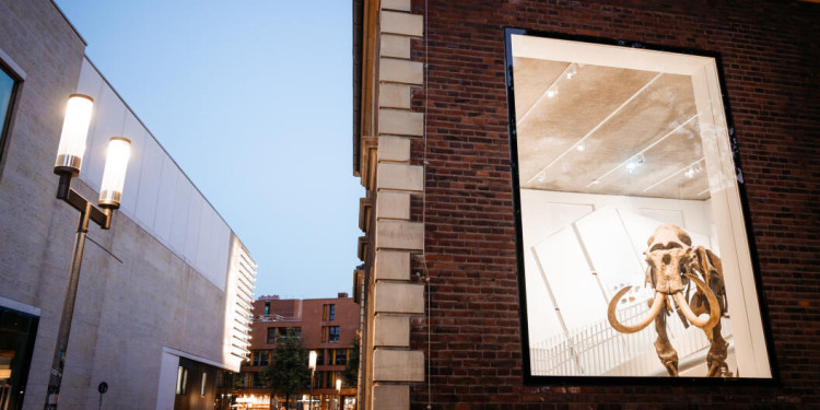<address>&copy; Christoph Steinweg</address>