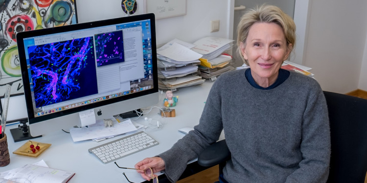 Porträt einer Frau auf einem Bürostuhl am Schreibtisch. Auf dem Schreibtisch steht ein Monitor mit einer fluoreszenzmikroskopischen Aufnahme einer Gewebestruktur.<address>&copy; Uni MS - Thomas Hauss</address>