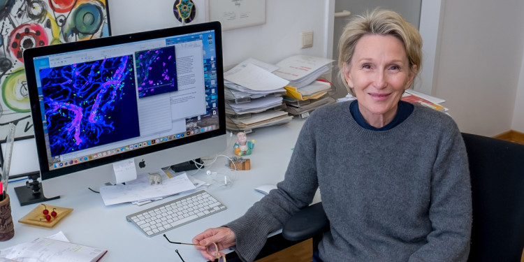 A portrait of a woman sitting in an office chair at a desk. On the desk is a monitor displaying a fluorescence microscopy image of a tissue structure.<address>&copy; Uni MS - Thomas Hauss</address>