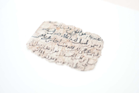 Brieffragment mit arabischen Schrifttzeichen vor weißem Hintergrund<address>&copy; Uni MS - Julia Harth</address>