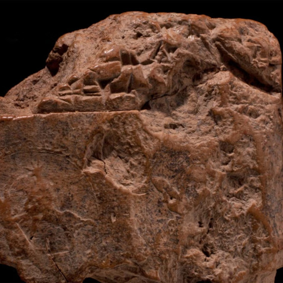 Auf dem Foto ist eine Steintafel zu sehen.<address>&copy; The British Museum and the Cuneiform Digital Library Initiative</address>