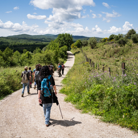 Man sieht einen Wanderweg, der sich durch eine gründe Landschaft zieht: Bäume, Büsche, Hügel. Auf dem Wanderweg läuft eine Gruppe von Menschen, zum Teil mit Wanderstöcken und Rucksäcken, die man von hinten sieht.<address>&copy; stock.adobe.com - piola666</address>