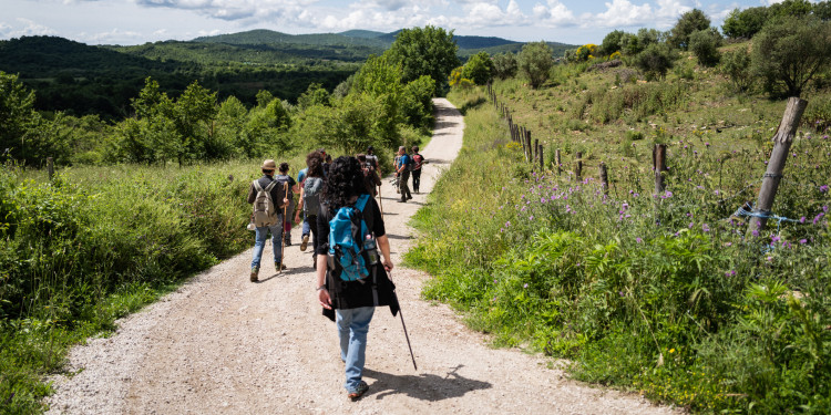 Man sieht einen Wanderweg, der sich durch eine gründe Landschaft zieht: Bäume, Büsche, Hügel. Auf dem Wanderweg läuft eine Gruppe von Menschen, zum Teil mit Wanderstöcken und Rucksäcken, die man von hinten sieht.<address>&copy; stock.adobe.com - piola666</address>