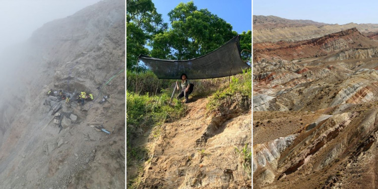 Die Bildercollage zeigt drei Schauplätze der Vortragsreihe: eine steile Atlantikküste mit einer Sauriergrabung, eine Ausgrabungsstelle in San Vito in Costa Rica sowie die Landschaft von Madygen in Kirgisistan.<address>&copy; Melanie Junker/Amado Vargas/Ilja Kogan</address>