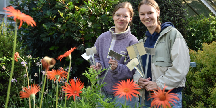 Zwei junge Frauen in einem Gewächshaus, beide lächeln in die Kamera. Im Vordergrund blühen rote Gerbera.<address>&copy; Uni MS - Julia Harth</address>