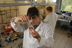 Wissenschaftlicher Nachwuch