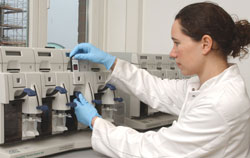 Nanotechnologie und Bioethik