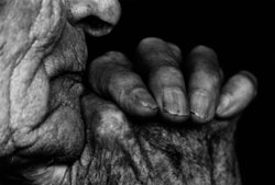 Wl 1001 Schmonzetten