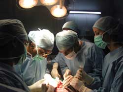 Wl 1003 Kristina Spaniol Op