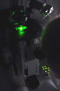 Wl 1101 Thema Gesundheit